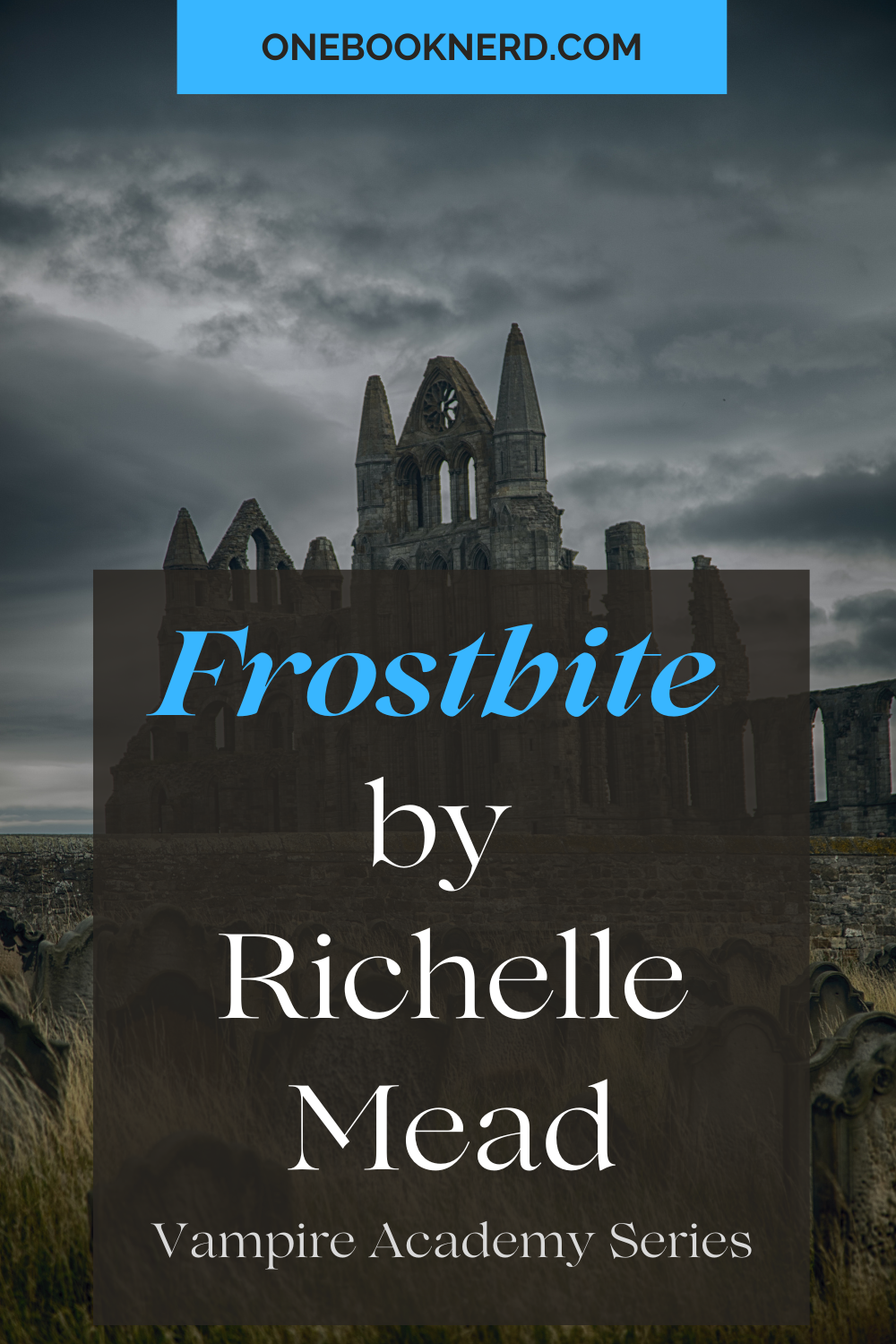 Frostbite by Richelle Mead