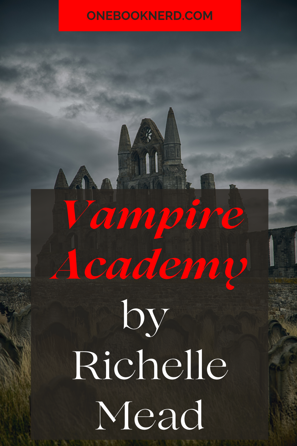 Vampire Academy by Richelle Mead