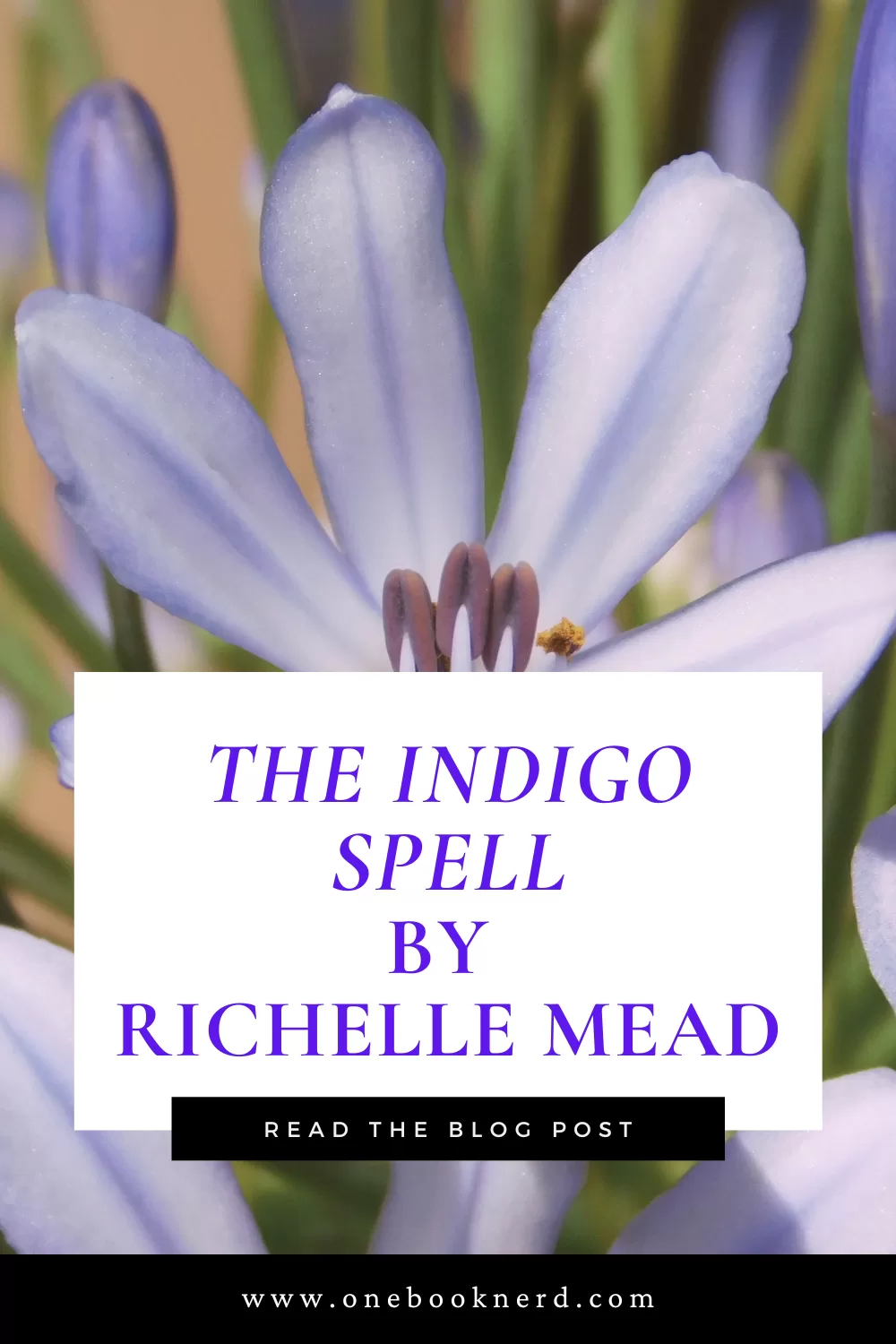 The Indigo Spell by Richelle Mead